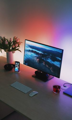Monitor